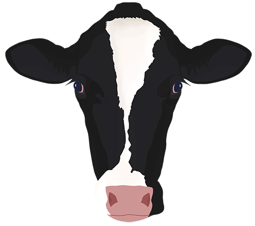 pace cow